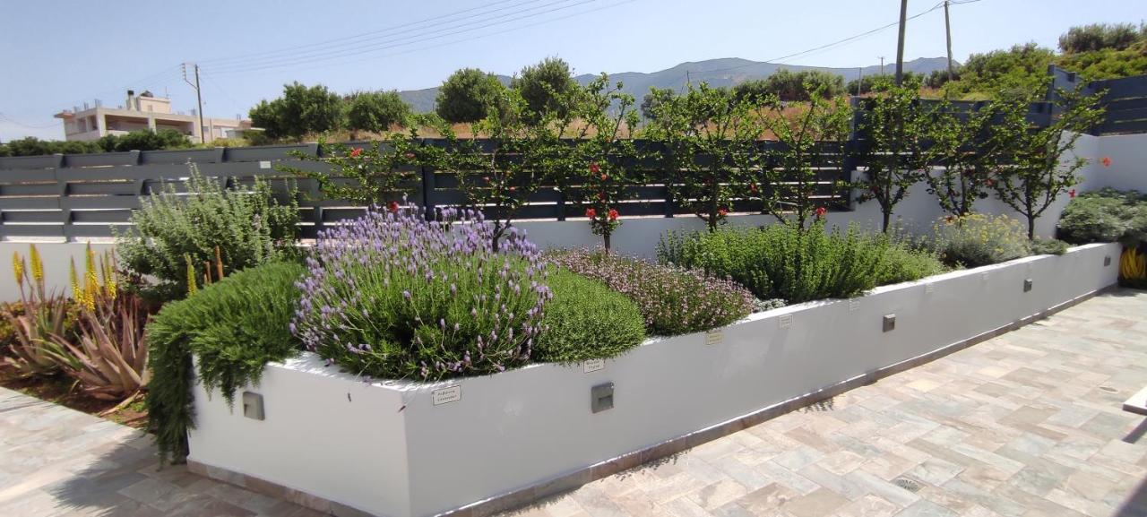 Sunset Elafonisi Apartments Livadia  Exterior photo